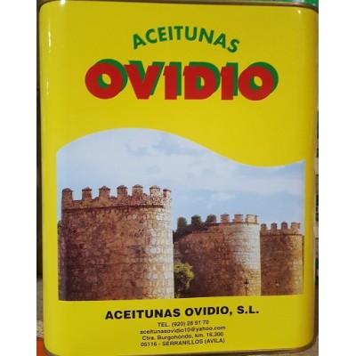 Encurtidos MANZANILLA EXTRA 5 kg calbre 160/180