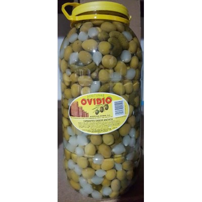 Encurtidos Garrafa 5 kg REVUELTO sabor ANCHOA