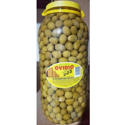 Encurtidos Garrafa 5 kg VERDE sabor ANCHOA