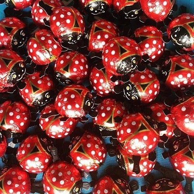 LADY BUGS (mariquitas) 8 gr x 62 und. LADY BUGS (mariquitas) 8 gr x 62 und.
